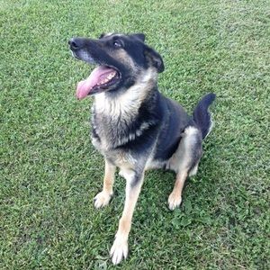 Meet your Posher, Sharon